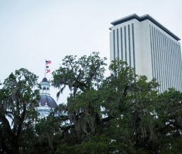 Tallahassee Area (10)