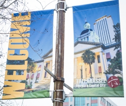 Tallahassee Area (14)